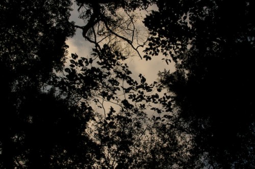 _igp5663_web